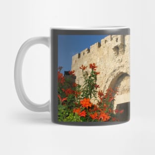 Zion Gate, Jerusalem, Israel Mug